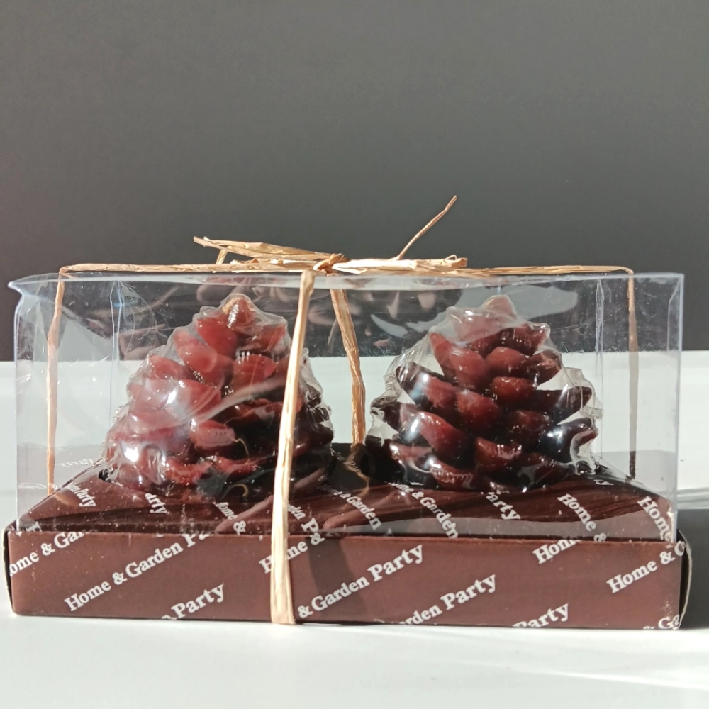 NEW Home & Garden Party Chocolate Brown Pine Cone Candles, Boxed Set of 2